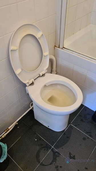  verstopping toilet Hoek van Holland